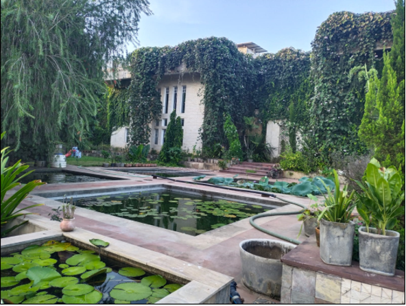 Little Star Foundation 1