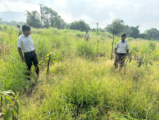 Tree Drive Palghar 1