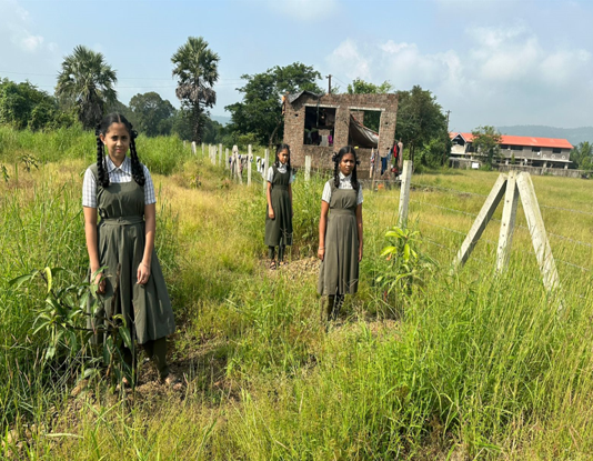 Tree Drive Palghar 2